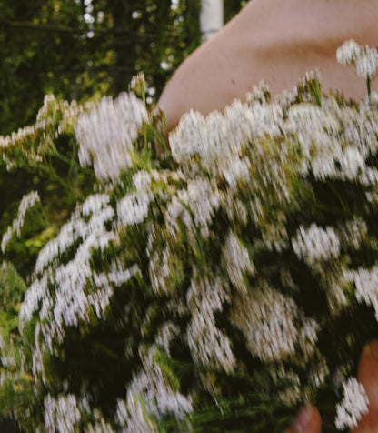 PELAŠĶA HIDROLĀTS